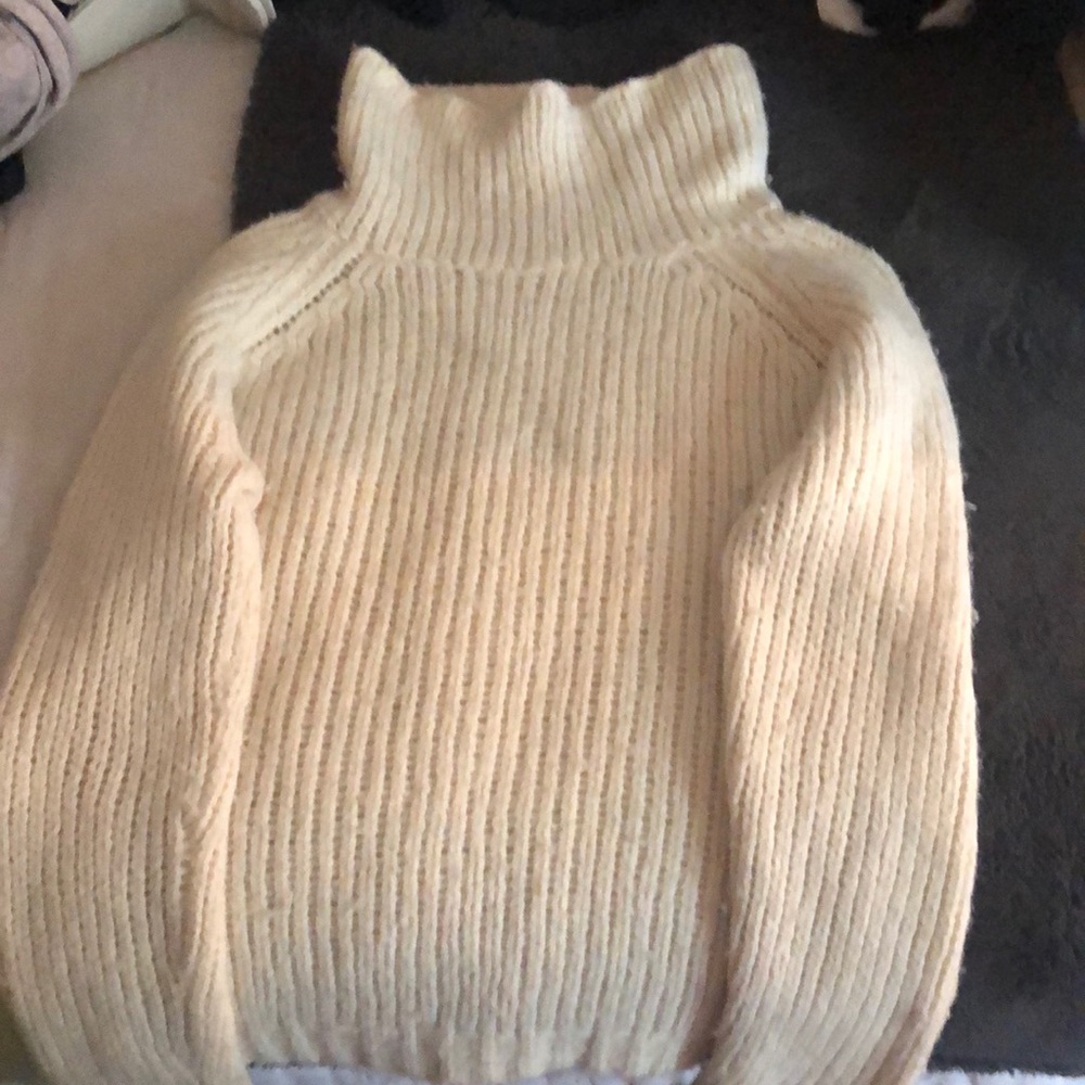 🐢A cream turtle neck 🐢